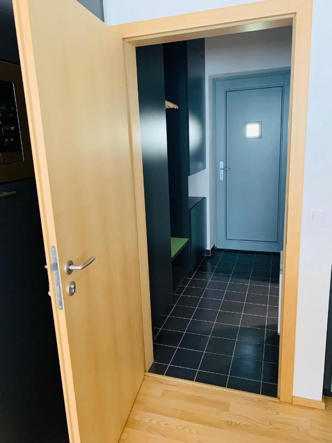 Apartmány U Venuše s velkou terasou Pavlov Exteriér fotografie