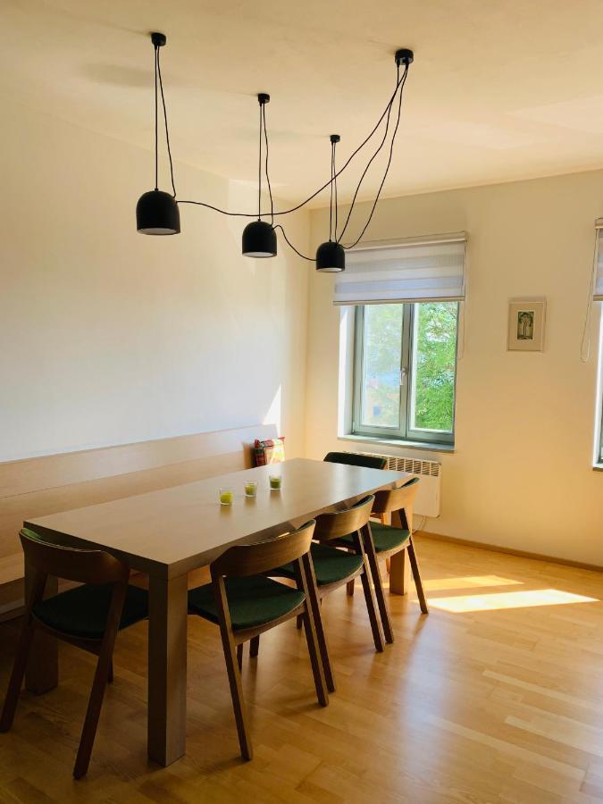 Apartmány U Venuše s velkou terasou Pavlov Exteriér fotografie