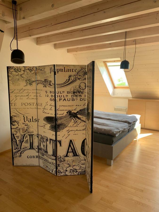 Apartmány U Venuše s velkou terasou Pavlov Exteriér fotografie
