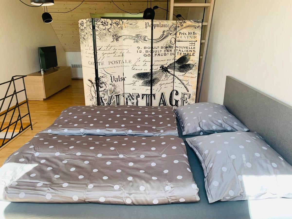 Apartmány U Venuše s velkou terasou Pavlov Exteriér fotografie