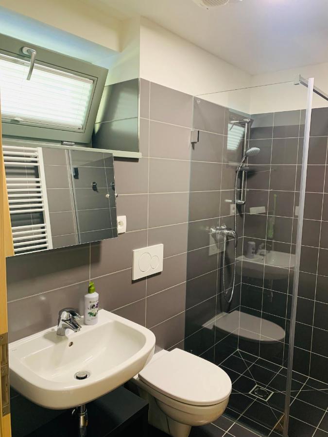Apartmány U Venuše s velkou terasou Pavlov Exteriér fotografie