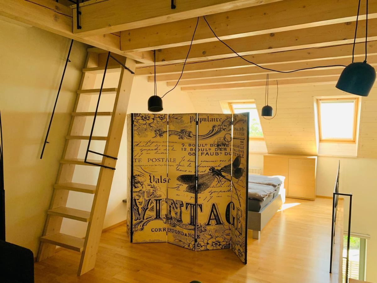 Apartmány U Venuše s velkou terasou Pavlov Exteriér fotografie