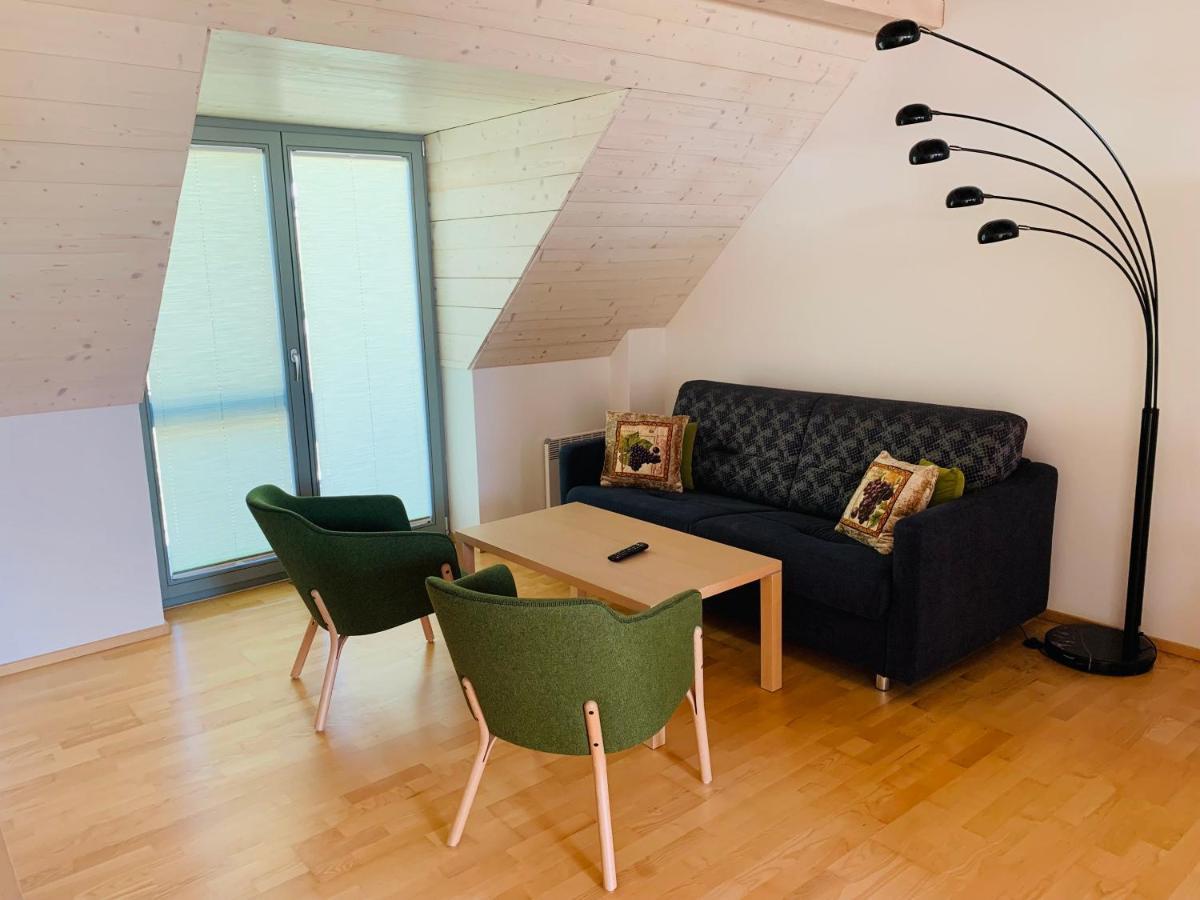 Apartmány U Venuše s velkou terasou Pavlov Exteriér fotografie