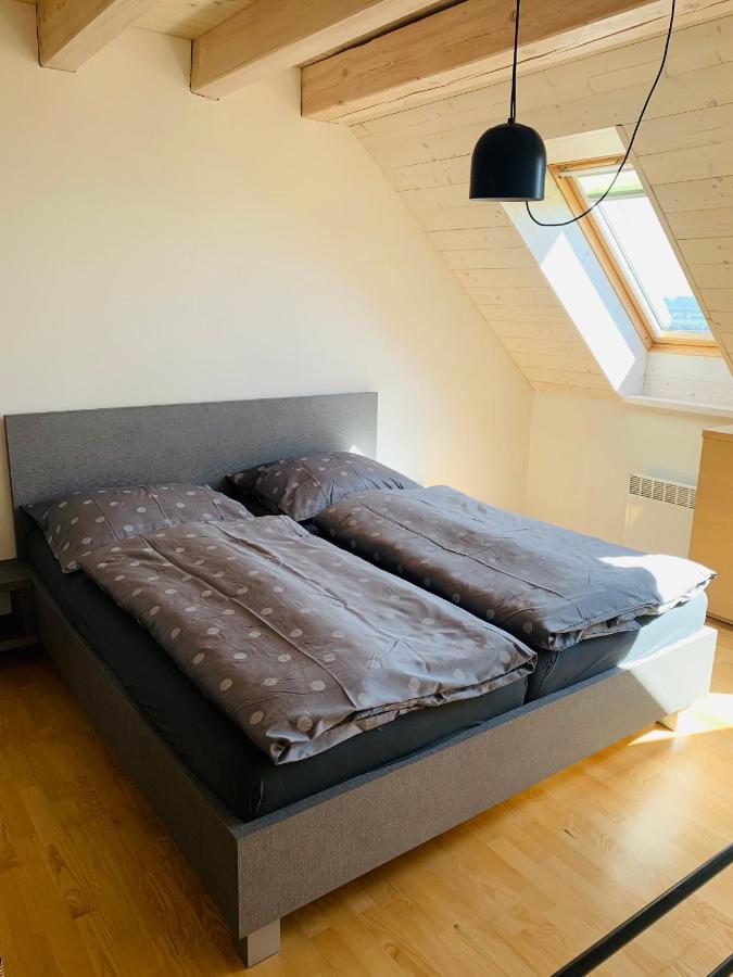 Apartmány U Venuše s velkou terasou Pavlov Exteriér fotografie