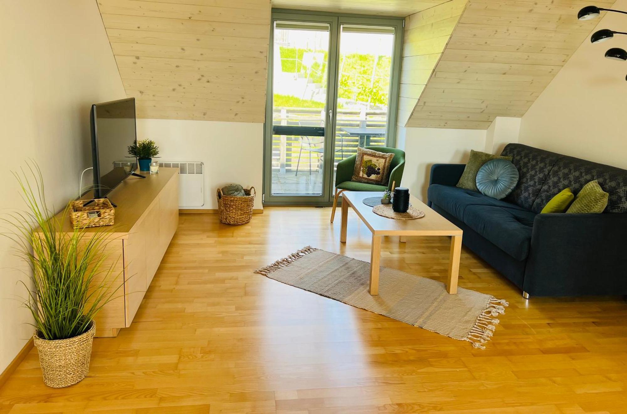 Apartmány U Venuše s velkou terasou Pavlov Exteriér fotografie