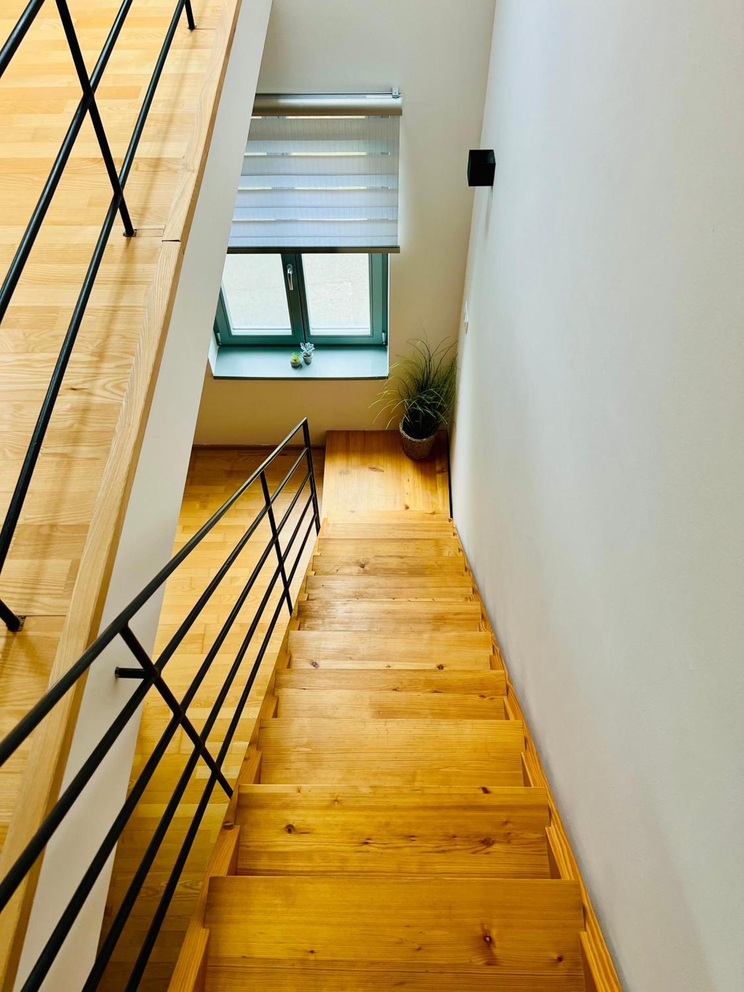 Apartmány U Venuše s velkou terasou Pavlov Exteriér fotografie