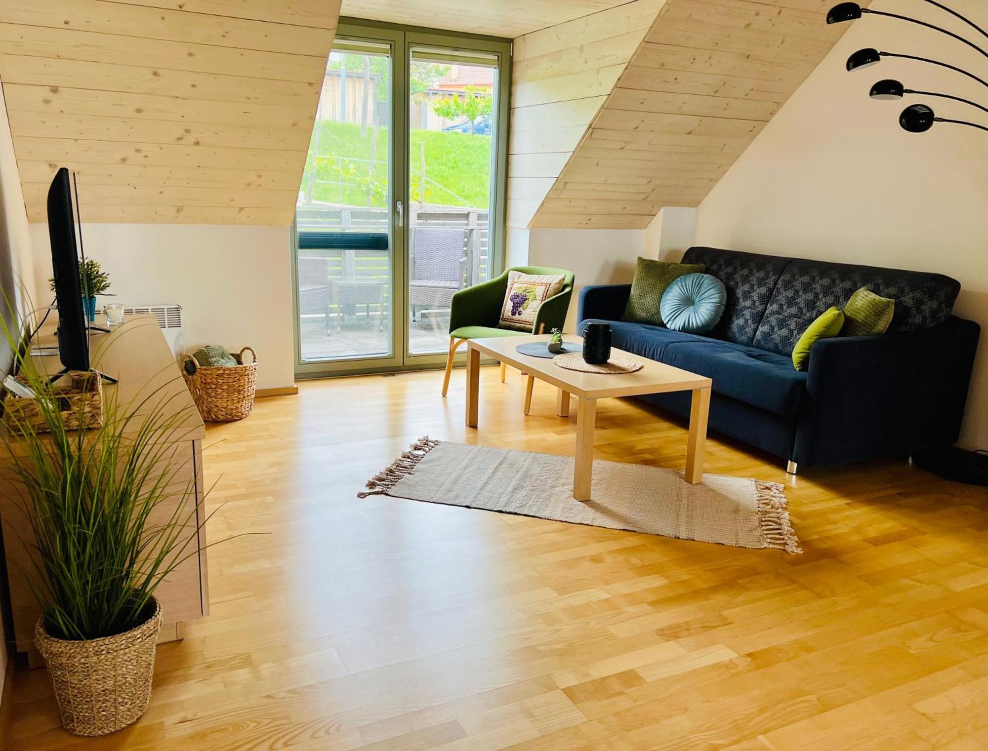 Apartmány U Venuše s velkou terasou Pavlov Exteriér fotografie